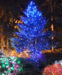 Decorate Outdoor Trees For