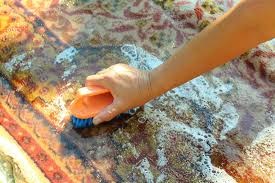 how to remove mold from an outdoor rug