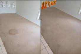 10 best carpet cleaning in tamworth nsw