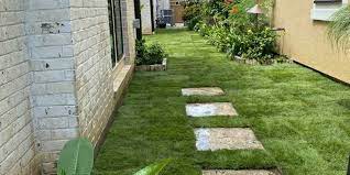 Most often you can plant zoysia grass in your lawn in one of three since zoysia grass is a slow grower, many people prefer to go with sod or plugs to have fast like most other grass turfs, zoysia grass needs aeration. Price Of Emerald Zoysia And Cavalier Zoysia Grass Houston Pearland