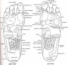 Treat Problems With Tcm Reflexology China Acupuncture