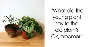 a collection of 148 plant puns that