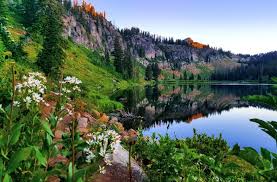 Maybe you would like to learn more about one of these? Tony Grove Lake Hiking Trail Utah Com