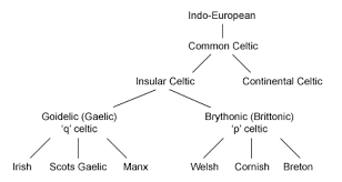 File Indo European To Irish Flow Chart Png Wikibooks Open