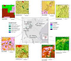 Remote Sensing Free Full Text Definitions And Mapping Of
