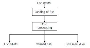 Cleaner Production In Fish Processing Efficiency Finder