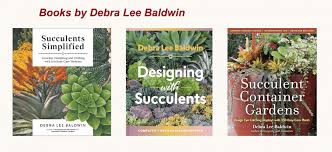 Debra Lee Baldwin S Own Succulent