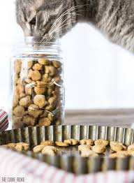 Homemade chicken & cranberry cat treats from all roads lead to the kitchen. 5 Healthy Homemade Cat Treat Recipes Styletails