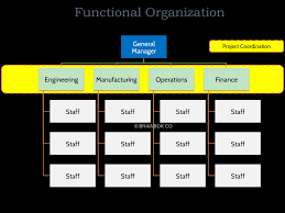 Functional Organizational Structure Pmp Pmi Acp Capm