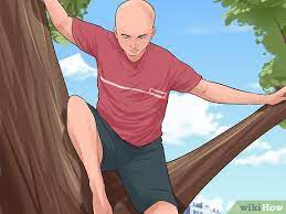 how to climb a tree with pictures