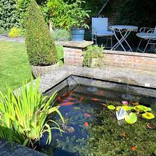 30 Outdoor Goldfish Pond Design Ideas