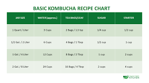 how to make kombucha at home healthy