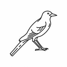 florida mockingbird state birds