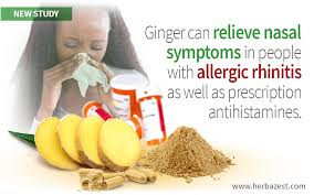for allergic rhinitis as antihistamines