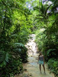 turtle river falls and gardens in ocho