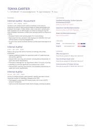 top internal audit resume examples