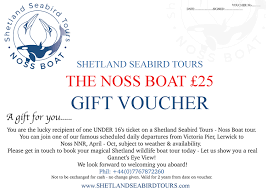new gift vouchers shetland seabird tours