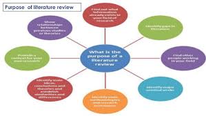 Conducting a Literature Review     The Example of Sustainability in     research methodology net 