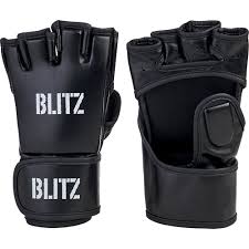 You need to protect yourself with headgear, knee and elbow pads, and shin guards available from combat sports. Blitz Stryker Mma Gloves