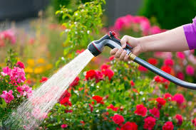 garden hose pipe reviews