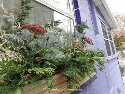 .family winter window, cozy winter window, winter window box, woman winter window, winter reflected light. Winter Window Boxes How To Make Winter Planter Displays The Easy Way Gardening From House To Home