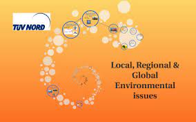 regional global environmental issues