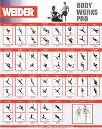 printable weider ultimate body works