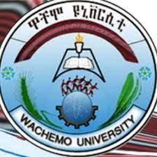 Injibara student&amp;#39;s from wachemo university. - Posts | Facebook