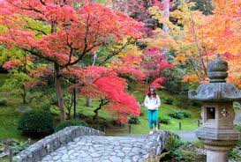 Autumn Seattle Japanese Garden