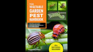 vegetable garden pest handbook susan