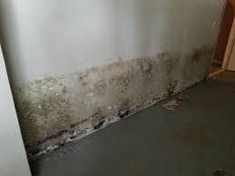 how to prevent mold in your basement