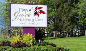 maple grove veterinary clinic pet retreat