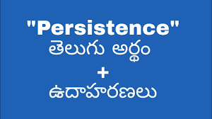 persistence meaning in telugu with