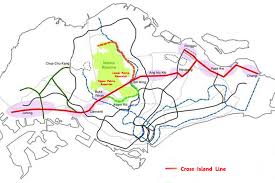 The cross island line (crl) is the eighth mass rapid transit line in singapore. Would Singapore S Most Beautiful Damselfly Species Be Extinct By The Construction Of Cross Island Line Dragonflies Damselflies Of Singapore