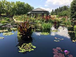 denver botanic gardens in cheesman park