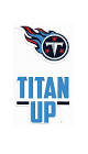 Tennessee Titans Double Up Die Cut Vinyl Stickers
