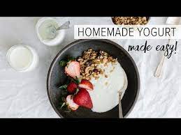 how to make homemade yogurt easy step