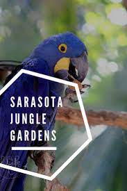 sarasota jungle gardens