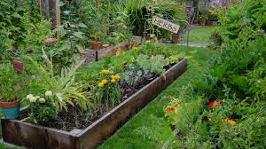 how to build a raised garden bed an