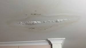 ceiling water damage in san go
