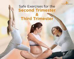second and third trimester pregnancy