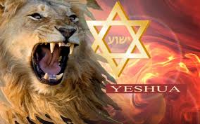 Image result for the lion of judah images