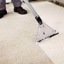 carpet cleaning in lacey clearview