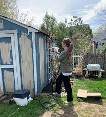 Painted Shed Transformation The