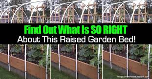 Why This Raised Garden Bed Is Made The