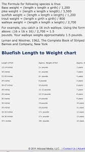 Striper Blues Length To Weight Age Ratio Kayaking And