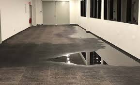commercial flood water damage bay