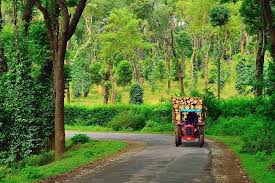 28 best things to do in coorg with