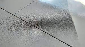 epoxy garage floor versus dried on paint