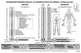 Spinal Cord Injury Sci Scales Peripheral Brain
